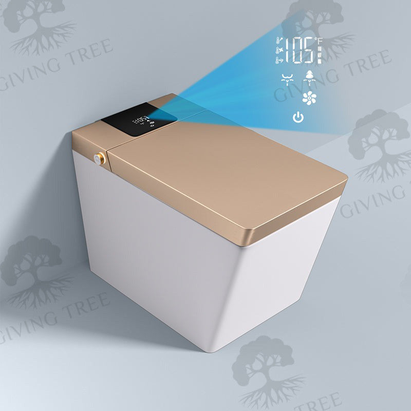 Smart Bidet Toilet with Siphon Jet Flush, Remote Control/ Side Control Knob, Golden