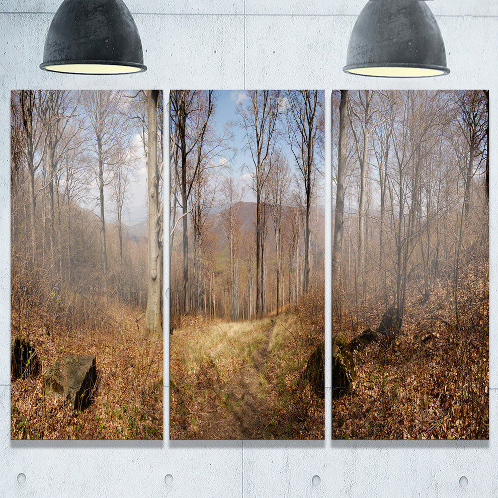 "Forest Scenery With Bare Trees" Forest Metal Wall Art, 3 Panels, 36"x28"