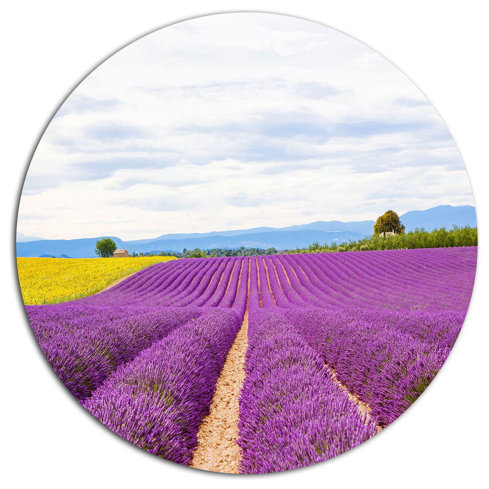 Sunflower And Lavender Fields, Landscape Large Disc Metal Wall Art, 23"