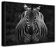 Stare' Framed Print Wall Art by Jiong Chen