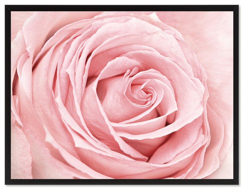 Pink Rose Flower Print on Canvas with Picture Frame, 22"x29"
