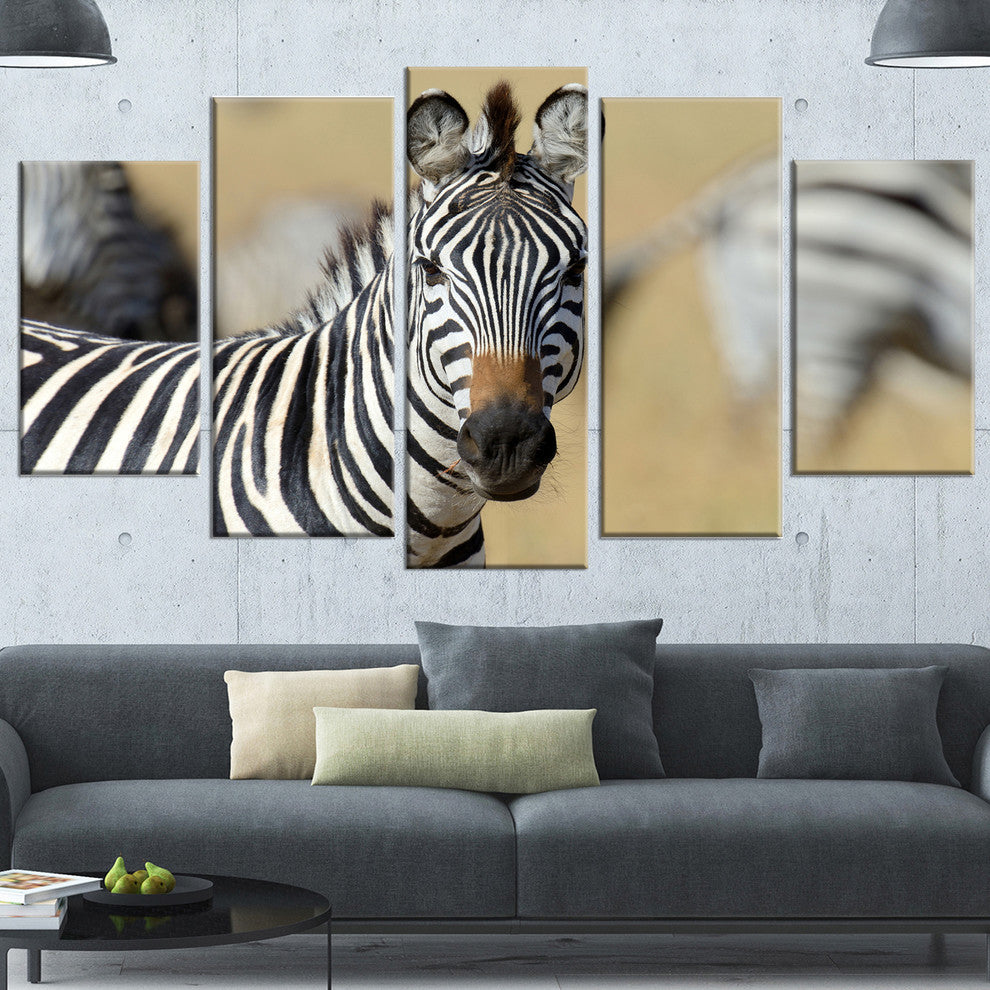 African Zebra Close Up View, African Canvas Art Print, 60"x32", 5 Panels