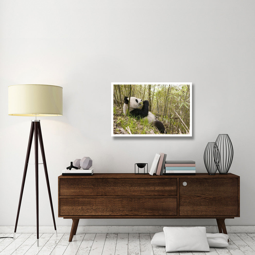 "Xiang Xiang eating bamboo, Wolong Nature Reserve, China" Paper Art, 38"x26"