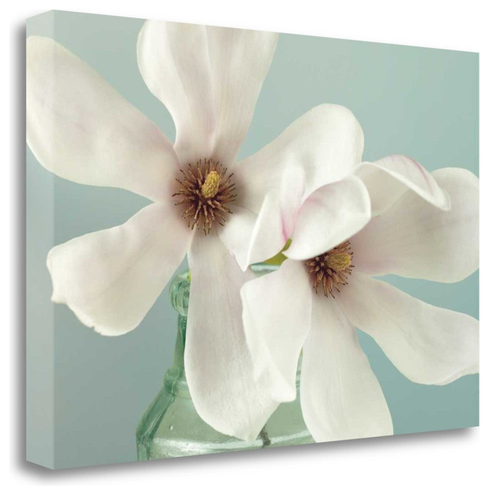 "Magnolias" By Assaf Frank, Giclee Print on Gallery Wrap Canvas, Ready to Hang