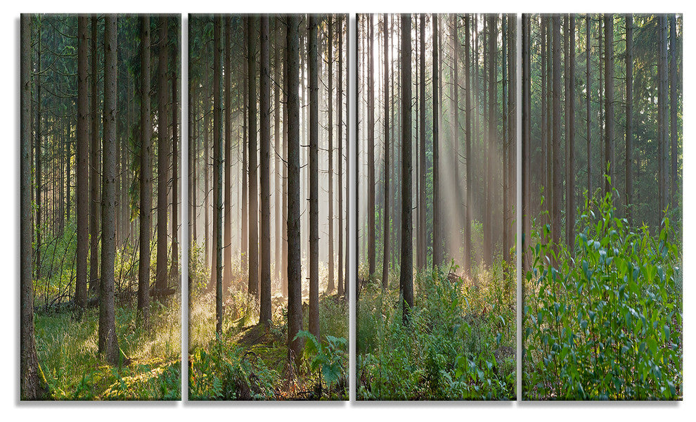 Green Forest in Mist Panorama, Landscape Canvas Art Print, 48"x28", 4 Panels