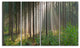 Green Forest in Mist Panorama, Landscape Canvas Art Print, 48"x28", 4 Panels