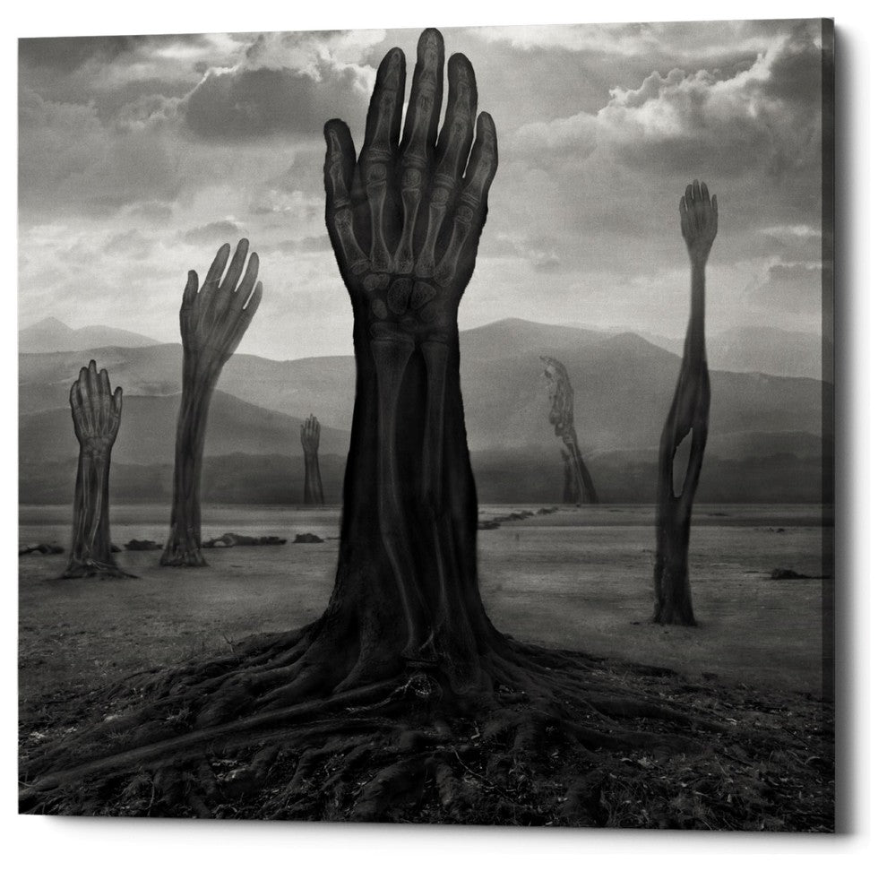"Rentgen" Giclee Canvas Wall Art, 18"x18"