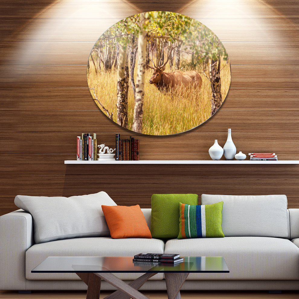 Deer In Thick Forest Grassland, Landscape Large Disc Metal Artwork, 23"