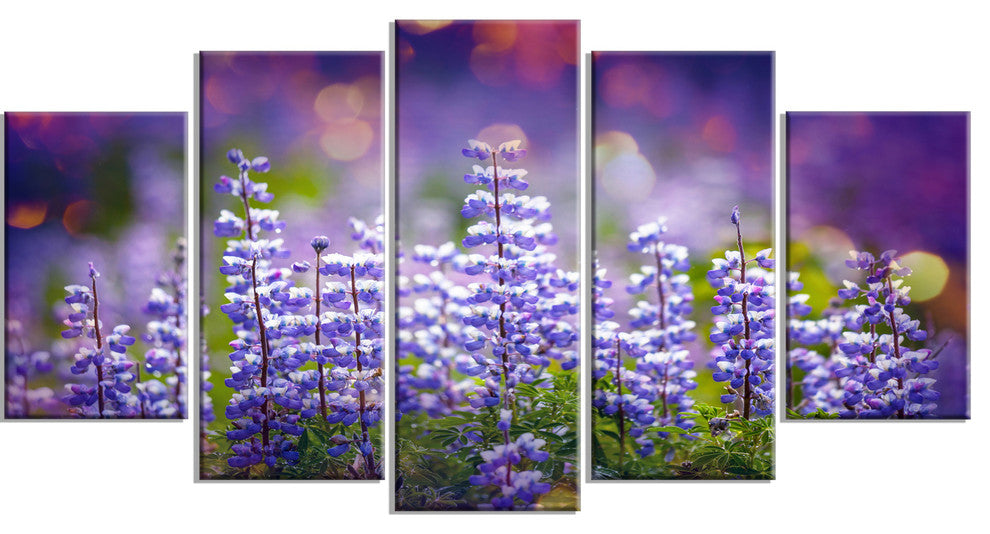 Blue Lupin Flowers on Blue Background, Flower Canvas Print, 60"x32", 5 Panels