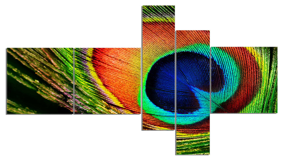 Peacock Feather, Photography Canvas Art Print, 60"x32", 5 panels