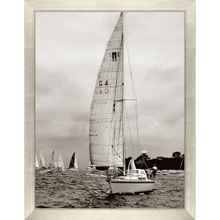 Regatta Framed Art
