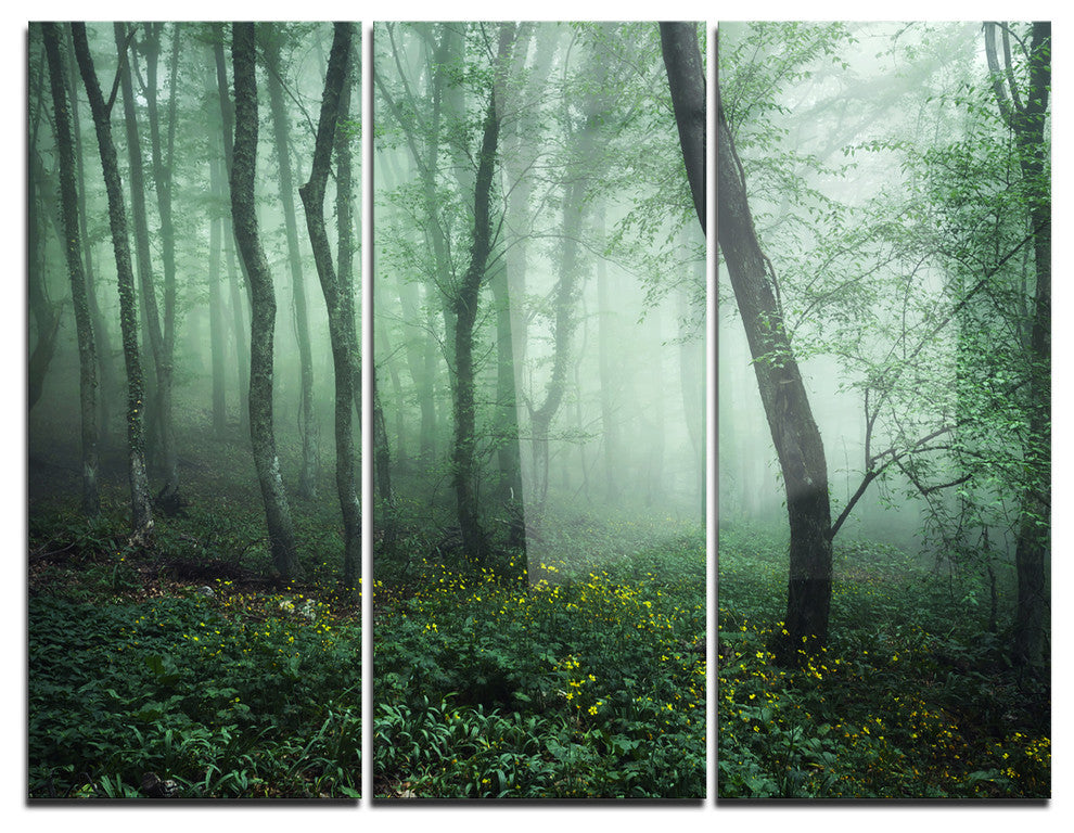 "Trail Through Dark Foggy Forest" Photo Metal Wall Art, 3 Panels, 36"x28"