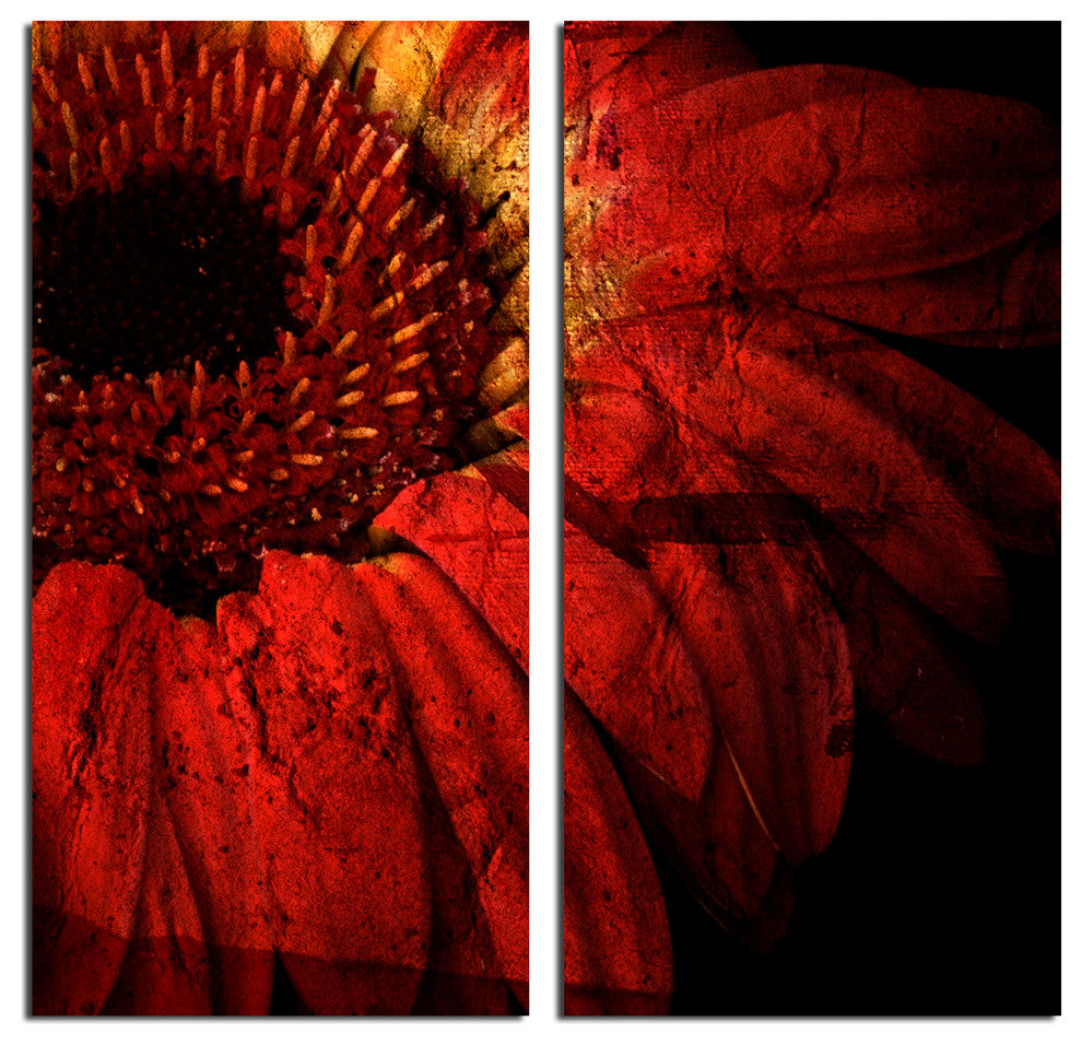 Gerber Daisy Canvas Wall Art, 2-Piece Set