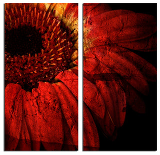 Gerber Daisy Canvas Wall Art, 2-Piece Set