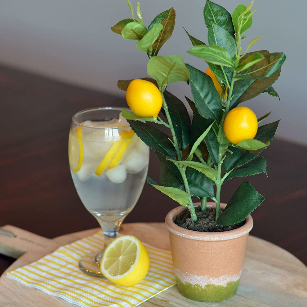 Potted Lemon Topiary Tree , 12.5 Inches