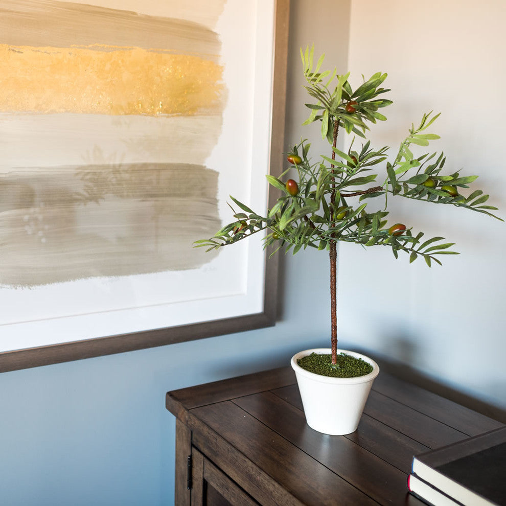 27" Olive Hill Tree W/ Container