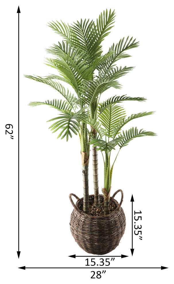 62" Palm In 15" Basket