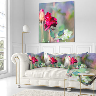 Red Rose On Blurred Background Flower Throw Pillow, 16"x16"