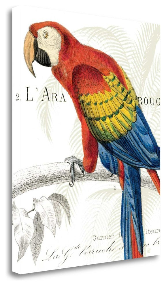 "Parrot Botanique II" By Wild Apple Portfolio, Giclee on Gallery Wrap Canvas