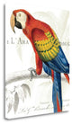 "Parrot Botanique II" By Wild Apple Portfolio, Giclee on Gallery Wrap Canvas
