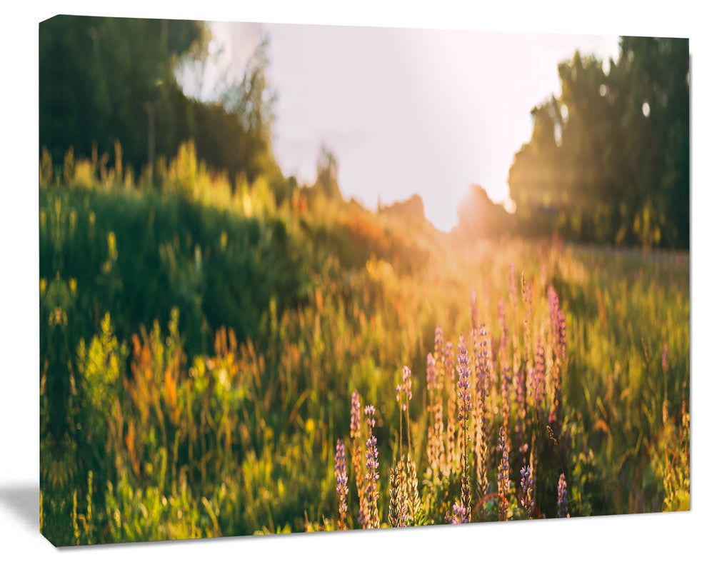Bloomy Glade of Wild Flowers, Large Landscape Canvas Art, 60"x28"