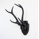 Deer Antler Mount, White Antlers And Plaque, Black