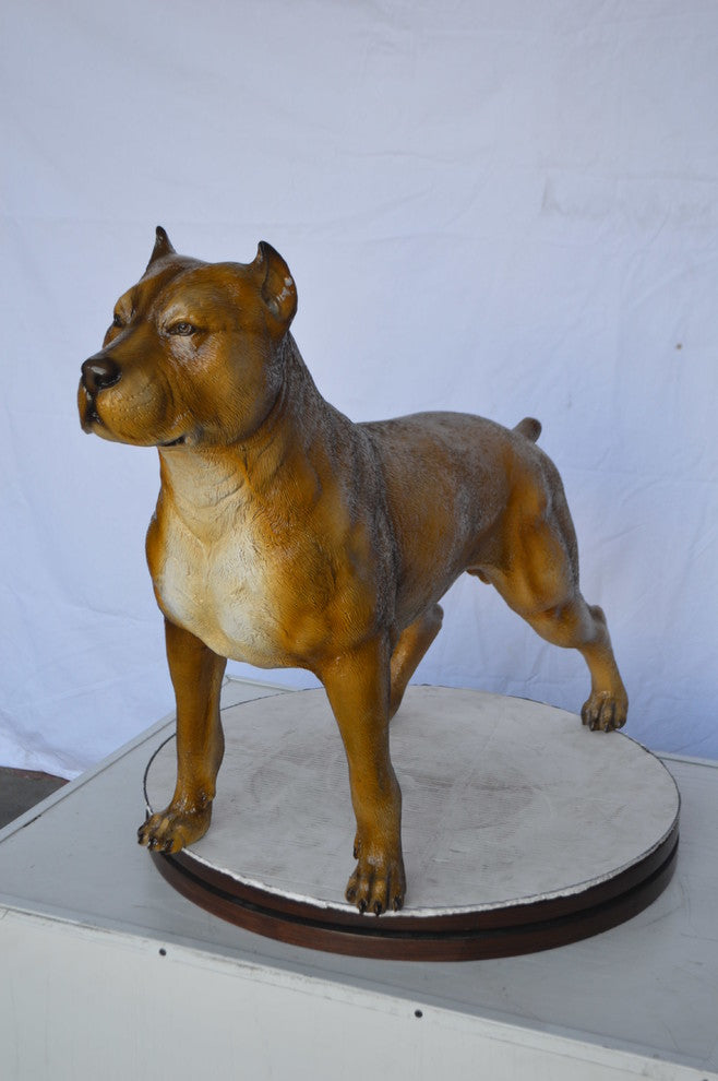 Pitbull Dog Colored Bronze Statue -  Size: 33"L x 10"W x 26"H.