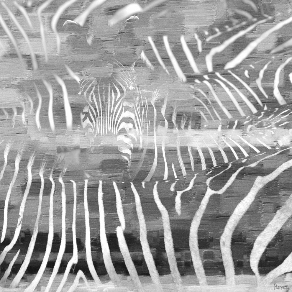 "Zebra" Fine Art Canvas Print, 48"x48"
