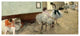 "The Dance Lesson, c. 1879" Digital Paper Print by Edgar Degas, 42"x19"