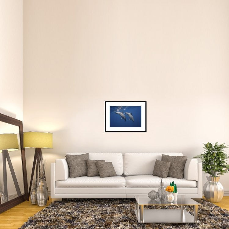 "Two Bottlenose Dolphins" Framed Digital Print by Barathieu Gabriel, 32x24"