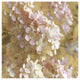 "Gilded Hydrangea I" Digital Paper Print by Sue Schlabach, 20"x20"