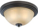 Nuvo 2-Light Harmony Collection Flush Mount Lighting Fixture