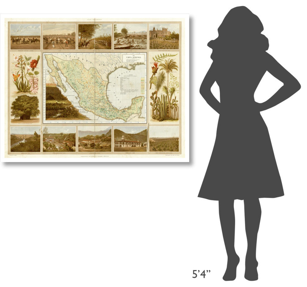 "Carta Agricola, 1885" Digital Paper Print by Antonio Garcia Cubas, 46"x36"