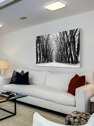 "Rows of Trees" Print on White Wood, 45"x30"