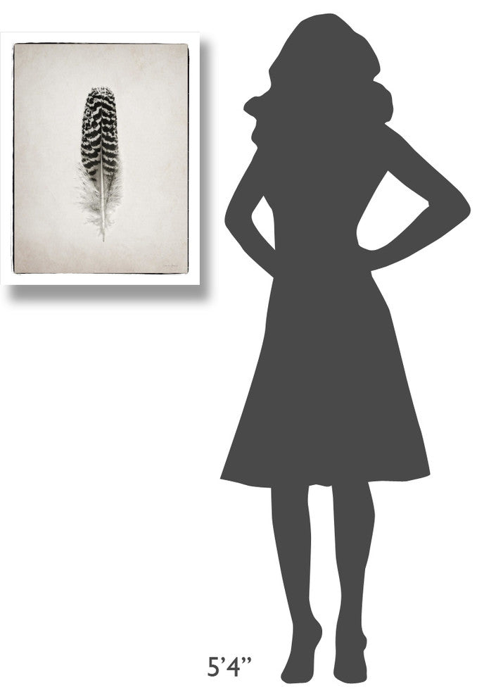 "Feather I - BW" Digital Paper Print by Debra Van Swearingen, 20"x26"