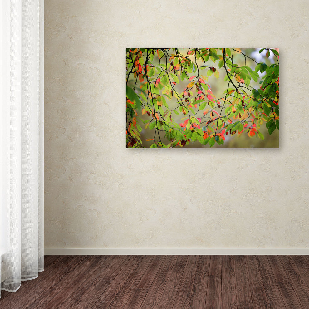 'Leaves in the Wind' Canvas Art by Philippe Sainte-Laudy