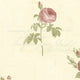 Rose Gardens 2, Romantic Floral Flower Cream, Rose Wallpaper Roll