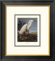 "Snowy Heron Or White Egret (decorative border)"  by John James Audubon, 18x20"