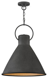 Hinkley Lighting 3555 Winnie 1 Light 18"W Pendant - Aged Zinc / Distressed
