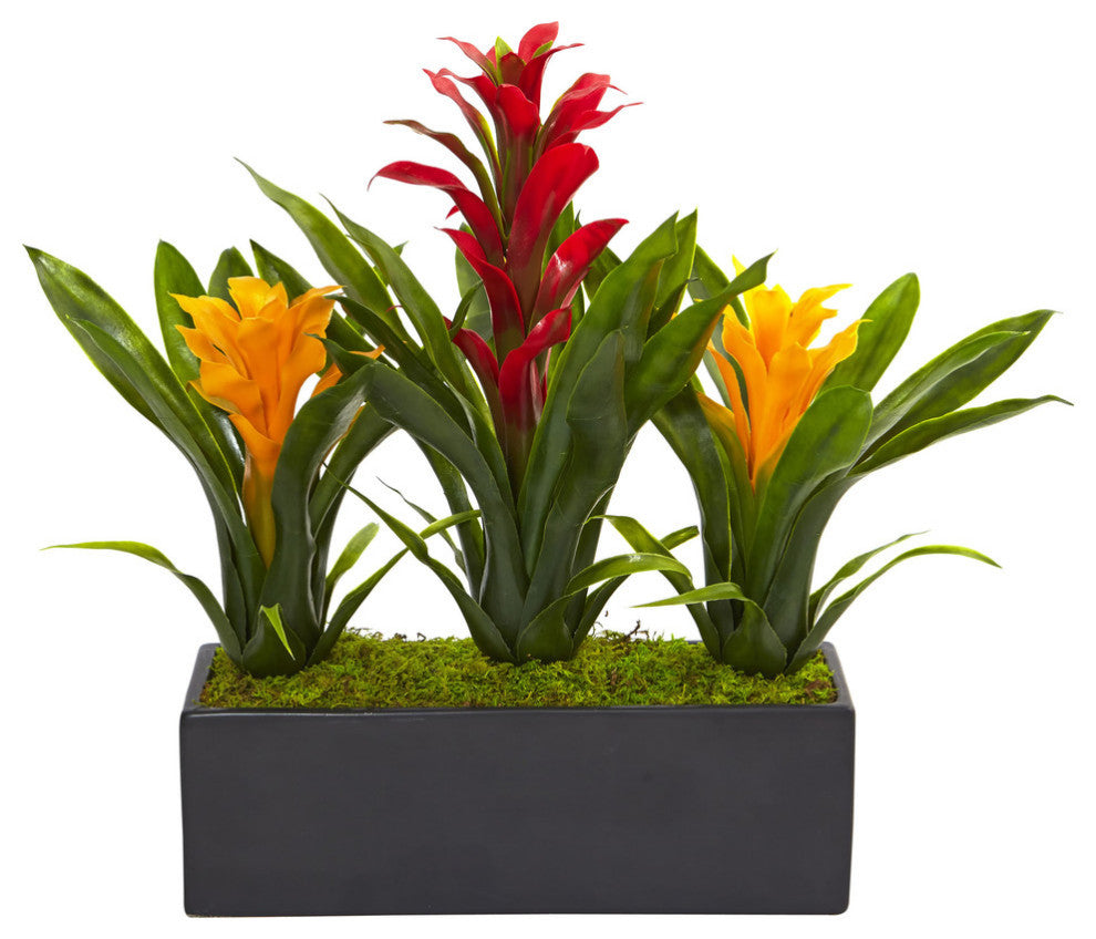 Bromeliads, Rectangular Planter, Red Yellow