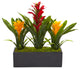 Bromeliads, Rectangular Planter, Red Yellow