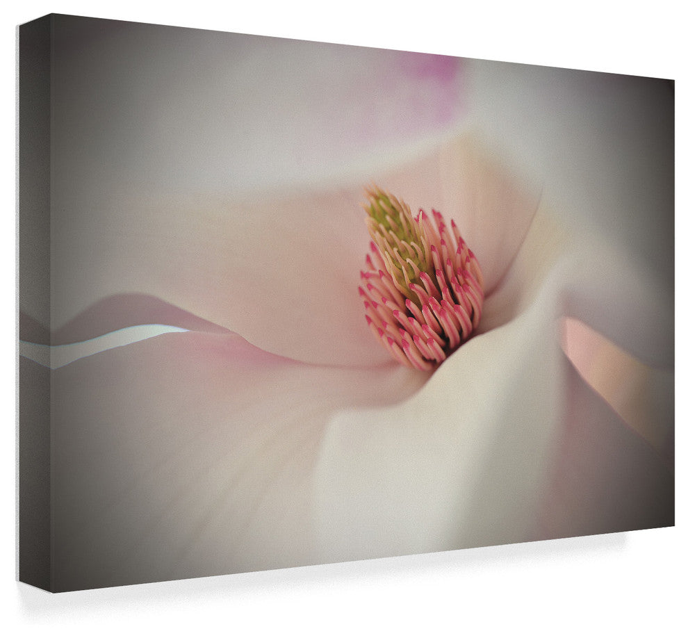 "Heart of Spring" by Christine Sainte-Laudy, Canvas Art