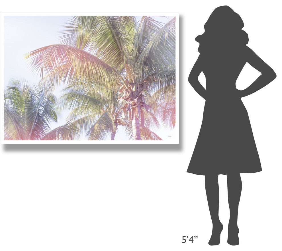 "Dream Palm I" Digital Paper Print by Sue Schlabach, 50"x38"