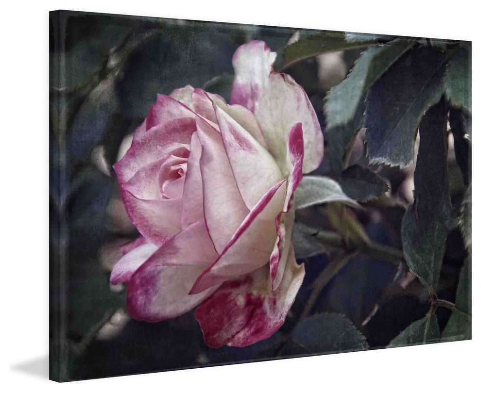 "Vintage Variation" Painting Print on Canvas by Robertson