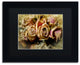 Lois Bryan 'Painted Old Roses' Art, Black Frame, Black Matte, 14"x11"
