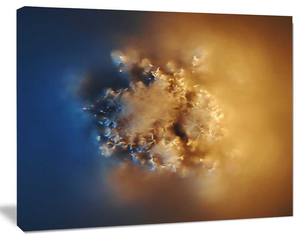 Small Macro Prickly Texture Brown, Abstract Canvas Wall Art, 20"x12"
