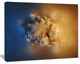 Small Macro Prickly Texture Brown, Abstract Canvas Wall Art, 20"x12"