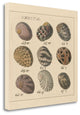 "Nertia" By Wild Apple Portfolio, Giclee Print on Gallery Wrap Canvas