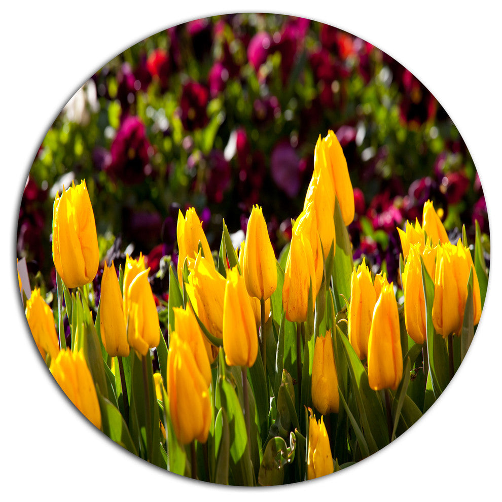 Beautiful Yellow Tulips Garden, Flower Round Wall Art, 23"