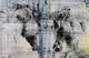 "Facing Horses" Painting Print on Wrapped Canvas, 60"x40"